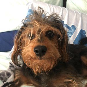 Custom Listing for YooperGal